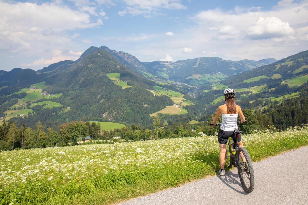 Stocker's Wohlfuehlapartments Apartmán Reith im Alpbachtal