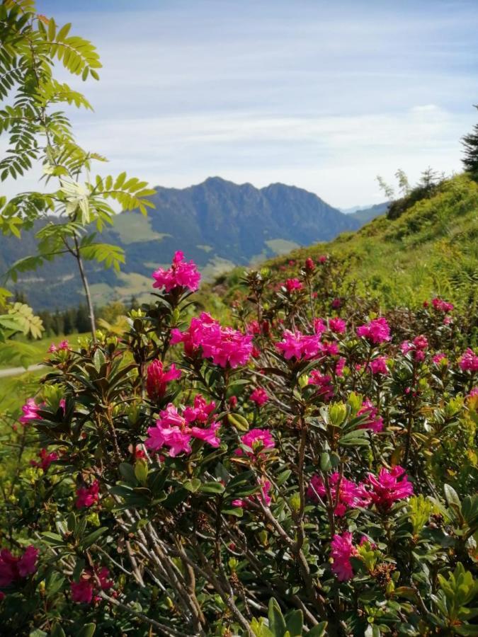 Apartmán Stocker's Wohlfuehlapartments Reith im Alpbachtal